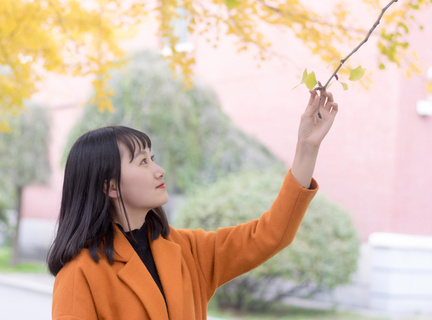 申请去菲律宾旅游签证(旅游签最新流程)